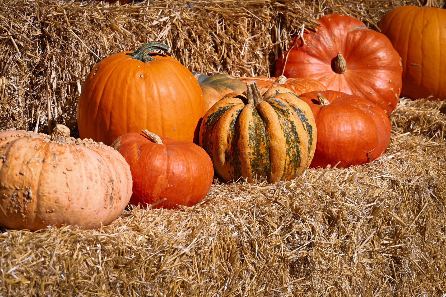 Pigeon Forge Pumpkin Festival (October 6–8, 2027)